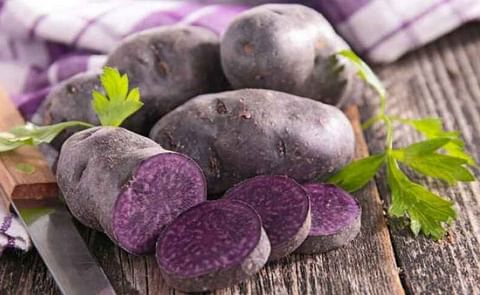 Vitelotte Noire Vitelotte Noire