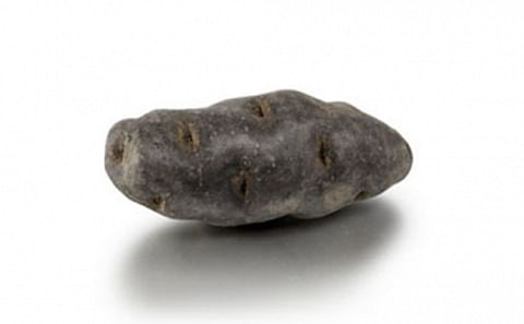 Purple: Are you familiar with truffle potatoes? Purple: Are you familiar with truffle potatoes?