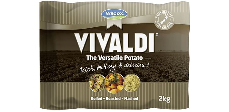 Vivaldi Gold