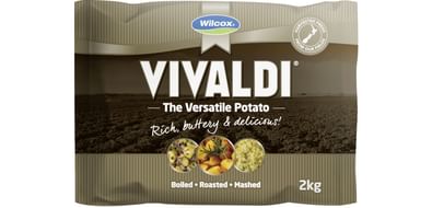 Vivaldi Gold Vivaldi Gold