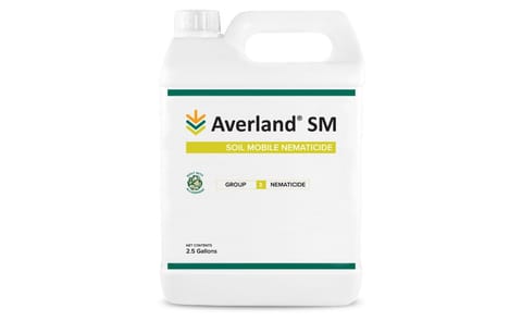 Averland SM Averland SM