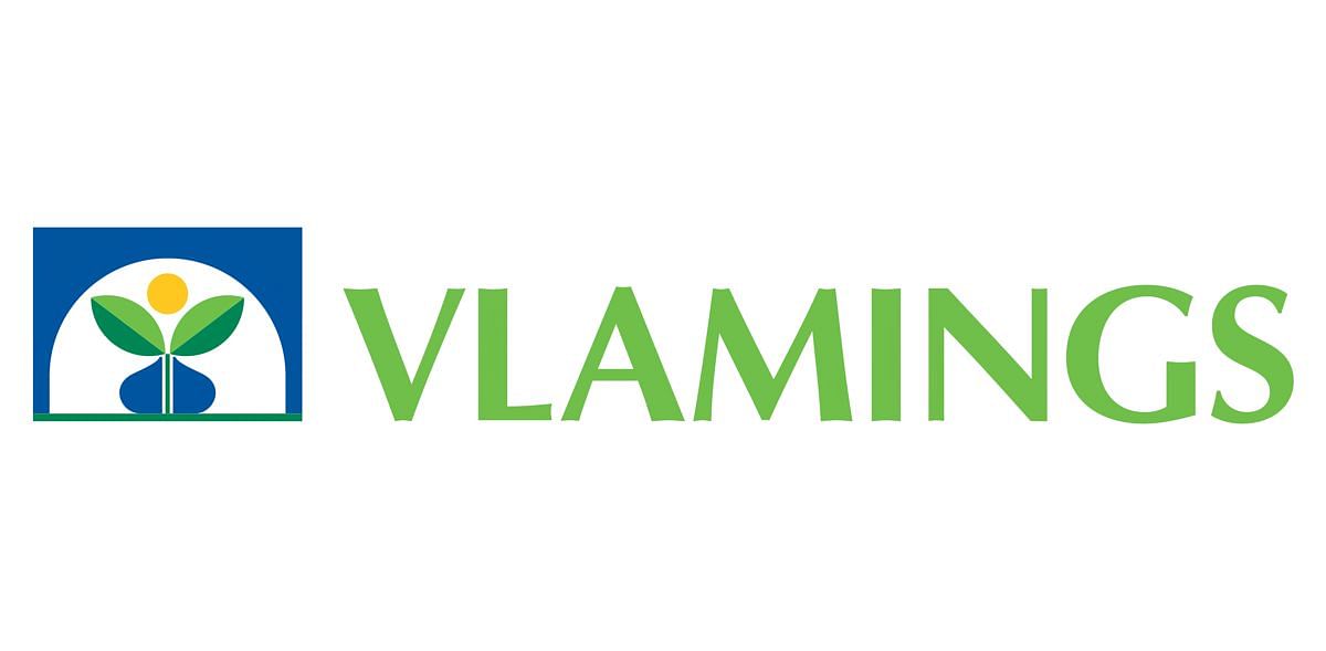Vlamings BV