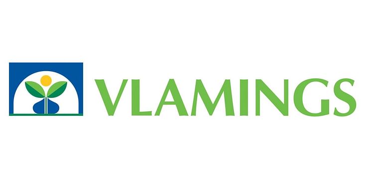 Vlamings BV