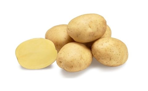 vogue-b-agrico-nl-hr-2020-geen-goede-foto-1200.jpg vogue-b-agrico-nl-hr-2020-geen-goede-foto-1200.jpg