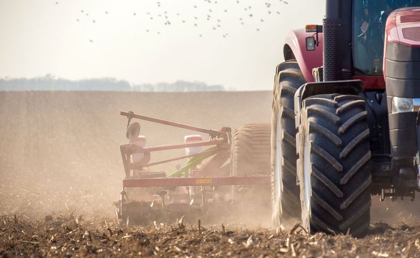 As potato harvest starts to wrap up across the Northwest, how does the 2019 crop look?