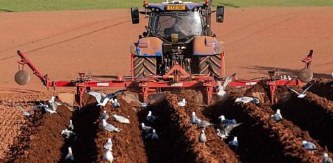Proposed potato organisation sets out funding plans