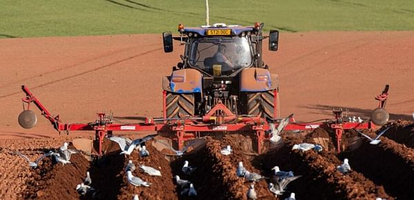 Proposed potato organisation sets out funding plans
