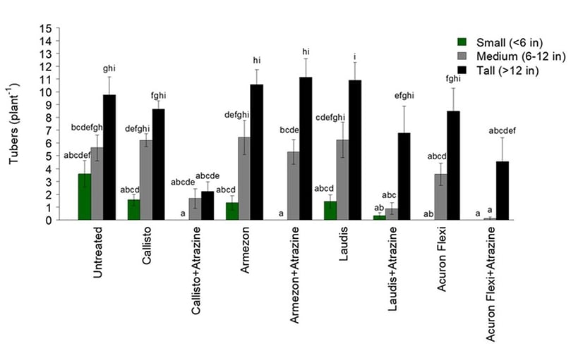Figure 1. Mean daughter tubers produced per plant at the Montcalm Research Center location. Mean tubers (plant-1) values followed by the same letter are not significantly different (P ≤ 0.05). Figure 1. Mean daughter tubers produced per plant at the Montcalm Research Center location. Mean tubers (plant-1) values followed by the same letter are not significantly different (P ≤ 0.05).