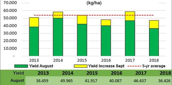 VTA trial potato harvest in The Netherlands confirms lower yield expectations