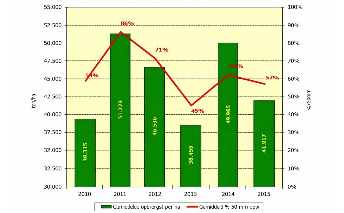 Dutch Potato Crop Yield below average according to VTA sampling Dutch Potato Crop Yield below average according to VTA sampling