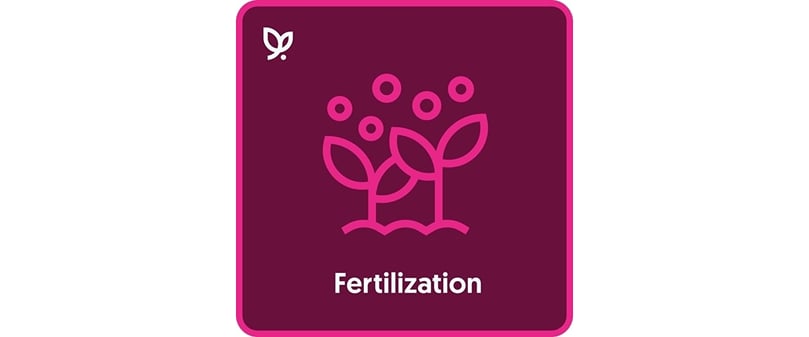 Vultus Fertilization Vultus Fertilization