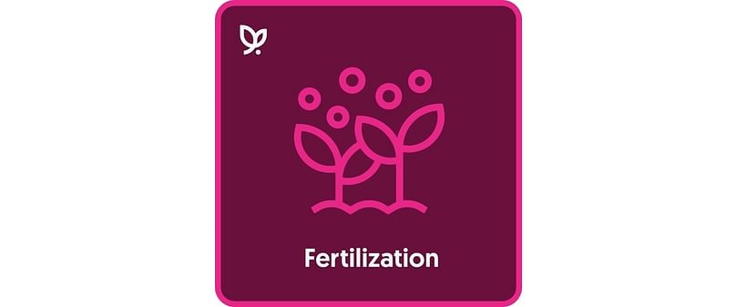 Vultus Fertilization