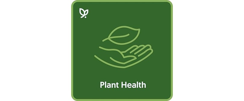Vultus Plant Health Vultus Plant Health