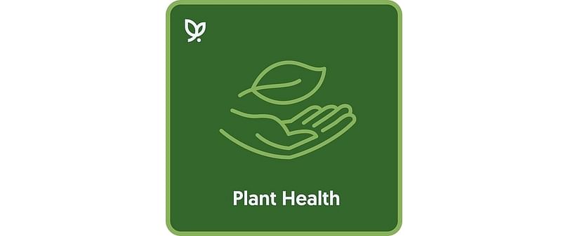 Vultus Plant Health