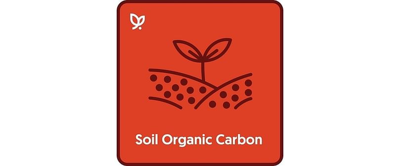 Vultus Soil Organic Carbon