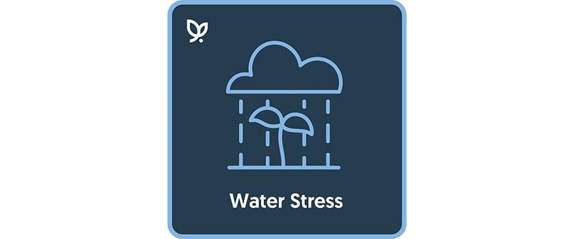 Vultus Water Stress Vultus Water Stress