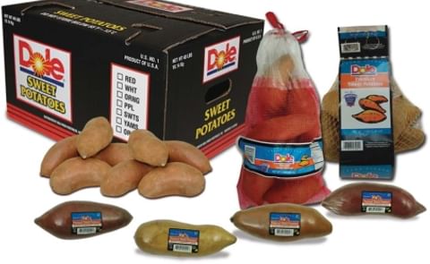 Wada opens North Carolina office for sweet potato program Wada opens North Carolina office for sweet potato program