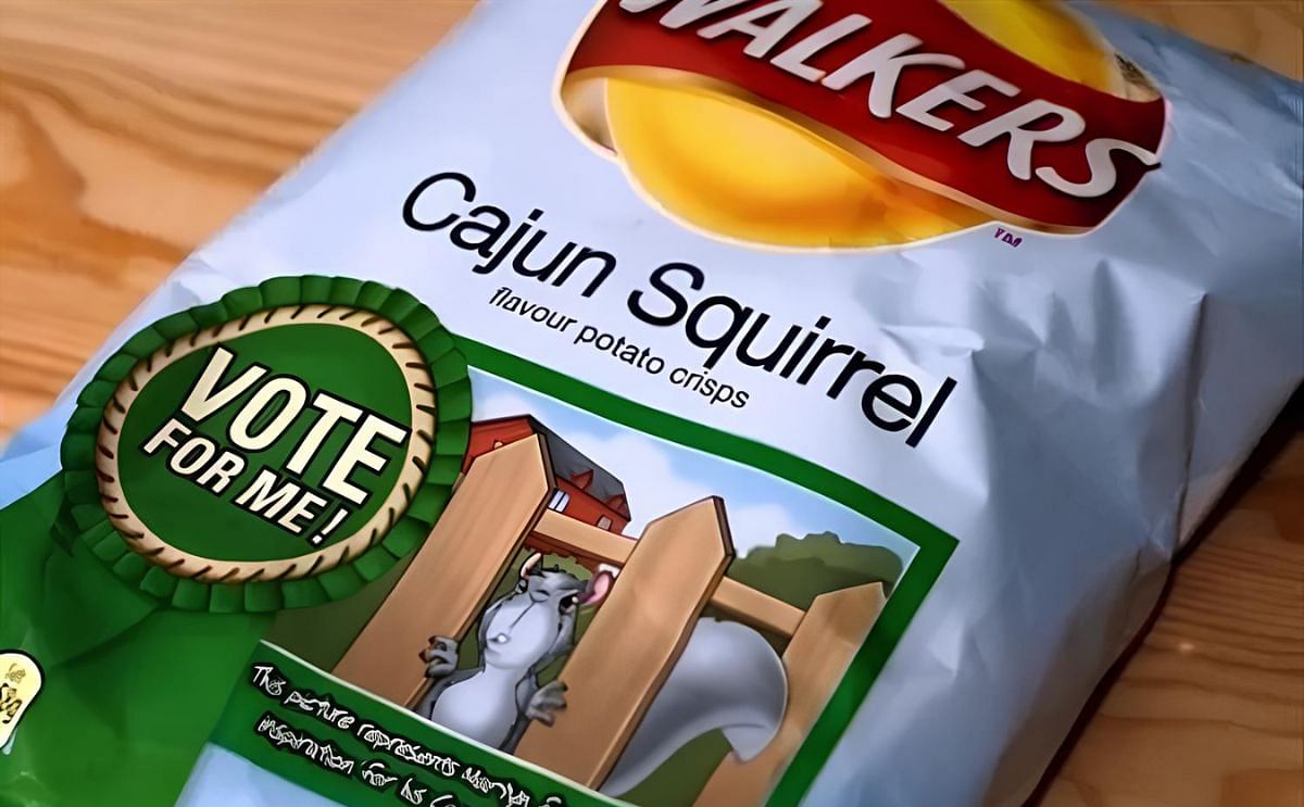 Walkers announces 'Do Us A Flavour' finalists: do you prefer Cajun Squirrel or Crispy Duck? Walkers announces 'Do Us A Flavour' finalists: do you prefer Cajun Squirrel or Crispy Duck?