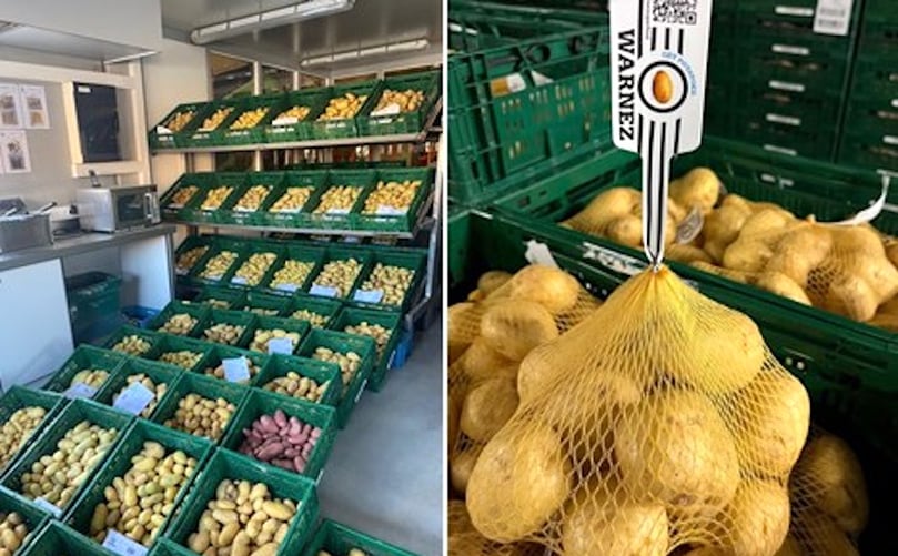 Warnez Potatoes Warnez Potatoes