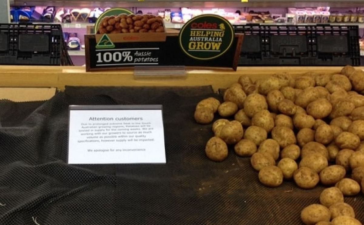 Extreme weather causes potato shortage in South Australia: Due to prolonged heat in the South Australian growing regions, potatoes will be limited in supply for the coming weeks (Lauren Waldhuter; ABC Rural) Extreme weather causes potato shortage in South Australia: Due to prolonged heat in the South Australian growing regions, potatoes will be limited in supply for the coming weeks (Lauren Waldhuter; ABC Rural)