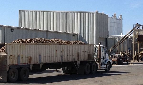 Washington Potato Company fined $100,000 for employment status discrimination