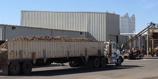 Washington Potato Company fined $100,000 for employment status discrimination