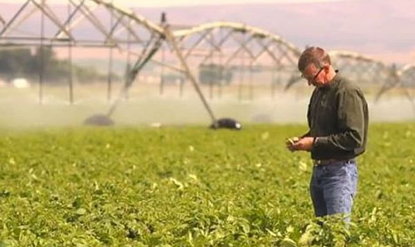 Washington potato growers struggling to keep up with demand