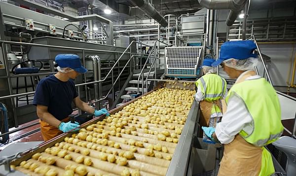 Waste-free potato processing facility to be built in the Lviv region of Ukraine