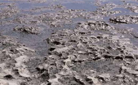 Untreated wastewater. Untreated wastewater.