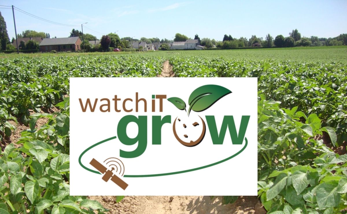 This Potato field in Belgium is featured on the homepage of the geo-information system WatchITgrow (WatchITgrow.be) that was launched last week by stakeholders of the Belgian potato sector.
