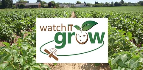 WatchITgrow: Belgium launches a country-wide geo-information system to strengthen the Potato (processing) industry
