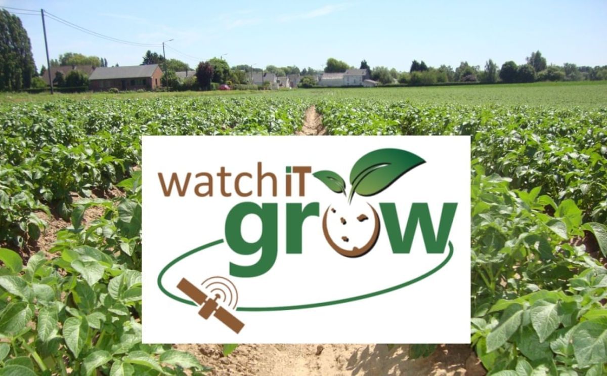 WatchITgrow: Belgium launches a country-wide geo-information system to strengthen the Potato (processing) industry WatchITgrow: Belgium launches a country-wide geo-information system to strengthen the Potato (processing) industry