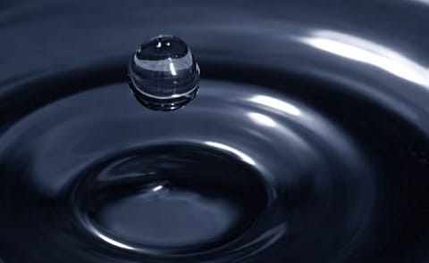 Potatoes could boost water supplies Potatoes could boost water supplies