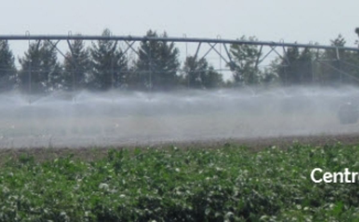 Wisconsin Farmers Provide Resources to Tackle Water Issues in Central Wisconsin