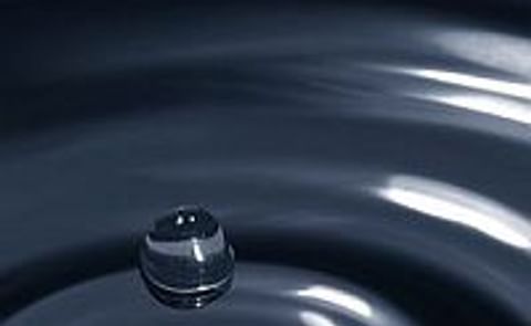 Potatoes could boost water supplies Potatoes could boost water supplies