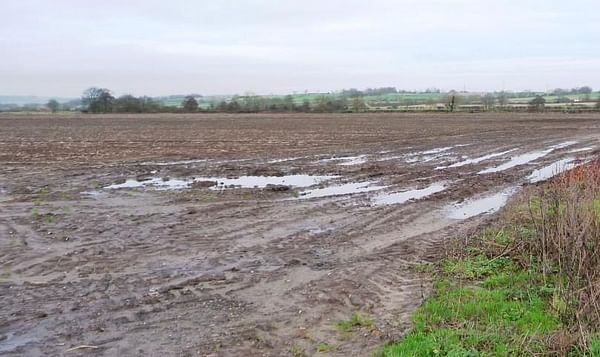 Planting Late? AHDB Potatoes offers guidance to make