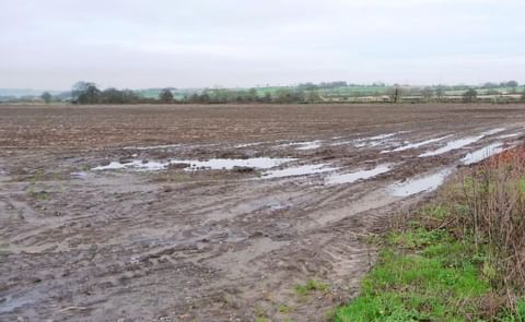 Waterlogged field (2015) Waterlogged field (2015)