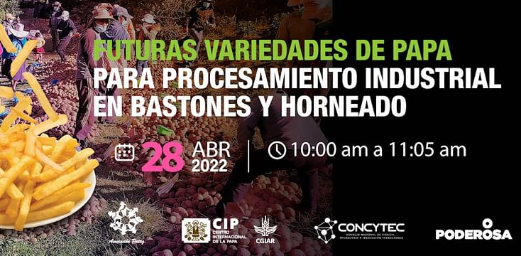 Webinar del CIP: 'Futuras variedades de papa aptas para procesamiento industrial en bastones y horneado'
