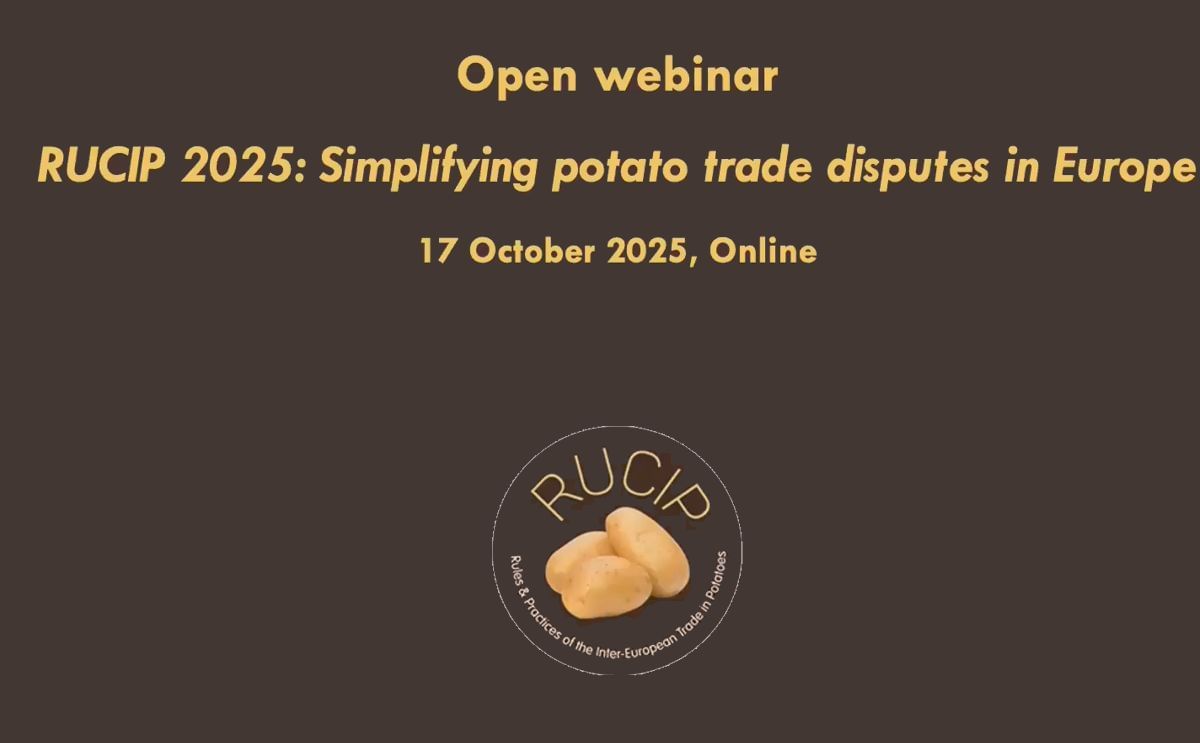  Webinar: 
