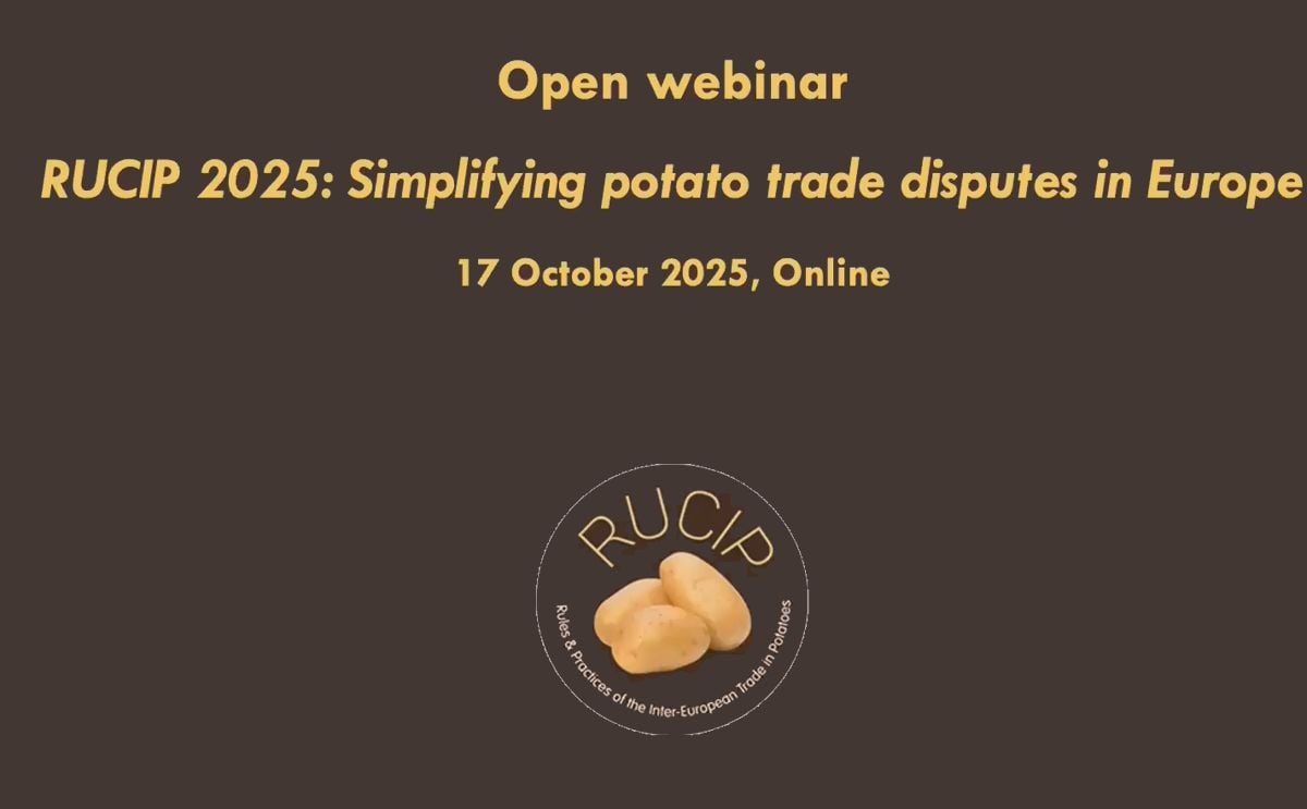 Webinar: Webinar: