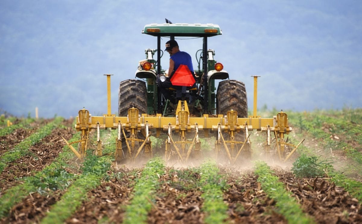 Warmer winters linked to increased pesticide use Warmer winters linked to increased pesticide use