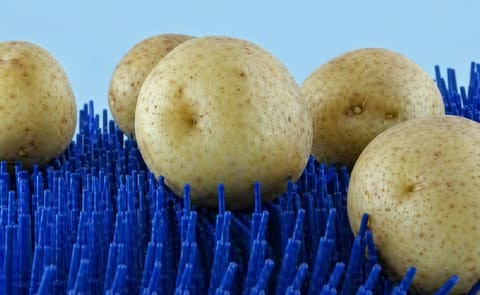 Wellwaij Belting highlights needle belt at the Interpom | Primeurs 2012 Wellwaij Belting highlights needle belt at the Interpom | Primeurs 2012