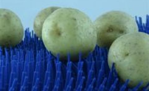 Wellwaij Belting highlights needle belt at the Interpom | Primeurs 2012 Wellwaij Belting highlights needle belt at the Interpom | Primeurs 2012