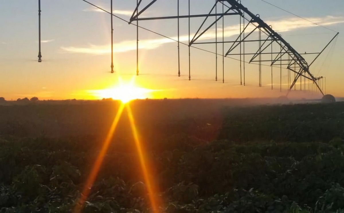 Wesgrow Potato growing operation in South Africa. (Courtesy: Wesgrow Seed Potatoes / Facebook)