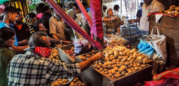Rising Potato Prices During the National Election A worrying Development for Ruling Parties (Courtesy: PTI)