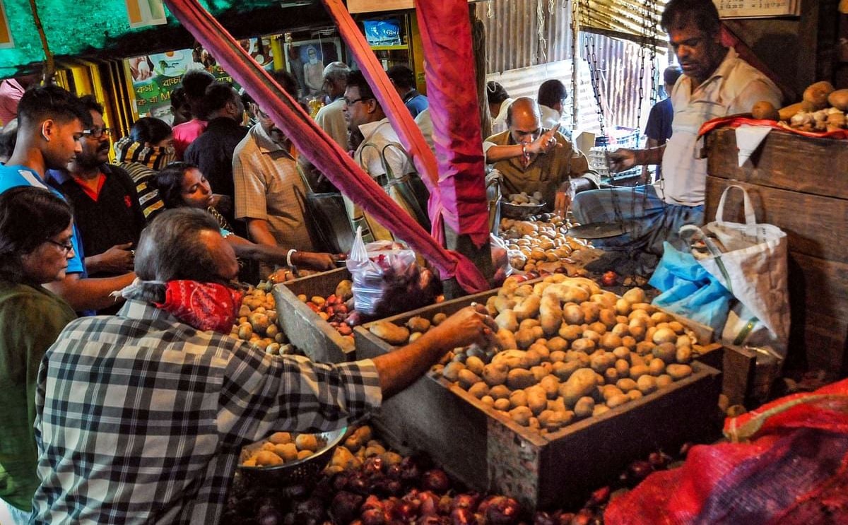 Bumper potato yield gives price stability hope in West Bengal Bumper potato yield gives price stability hope in West Bengal