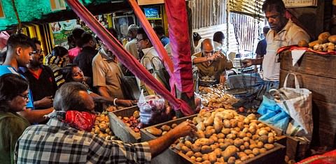Bumper potato yield gives price stability hope in West Bengal