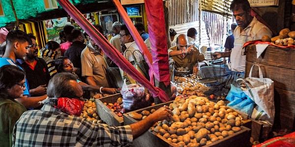 Bumper potato yield gives price stability hope in West Bengal (Courtesy: PTI)