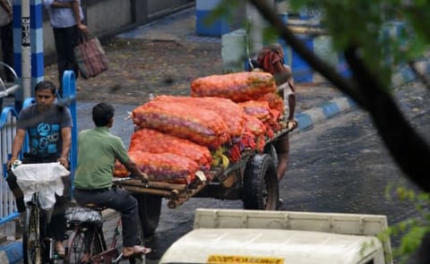 Potato prices West Bengal crash on bumper crop Potato prices West Bengal crash on bumper crop
