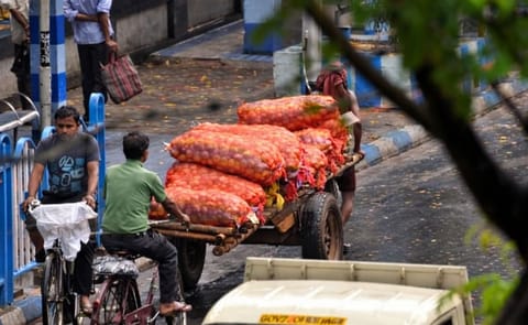 West Bengal’s potato farmers in trouble - reportedly resulting in multiple suicides West Bengal’s potato farmers in trouble - reportedly resulting in multiple suicides